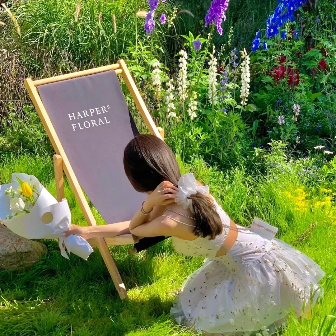 全员读心后，少将军跪求不和离